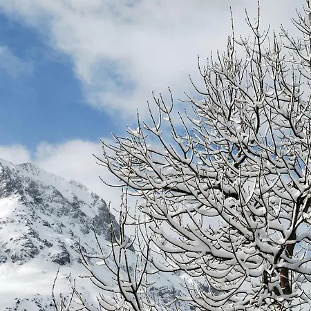 Alpenfluh